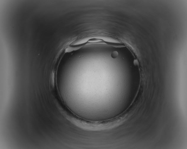 X0000086320014200704131705