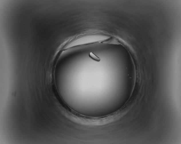 X0000086320015200704131705