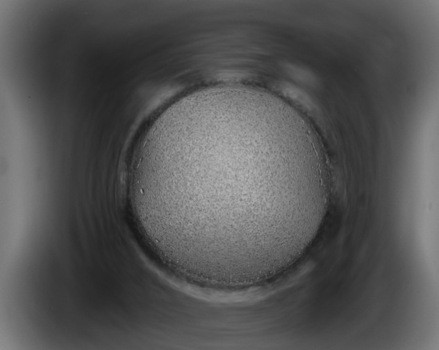 X0000086320016200704131705