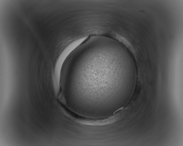 X0000086320017200704131705