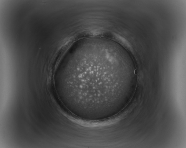 X0000086320018200704131705