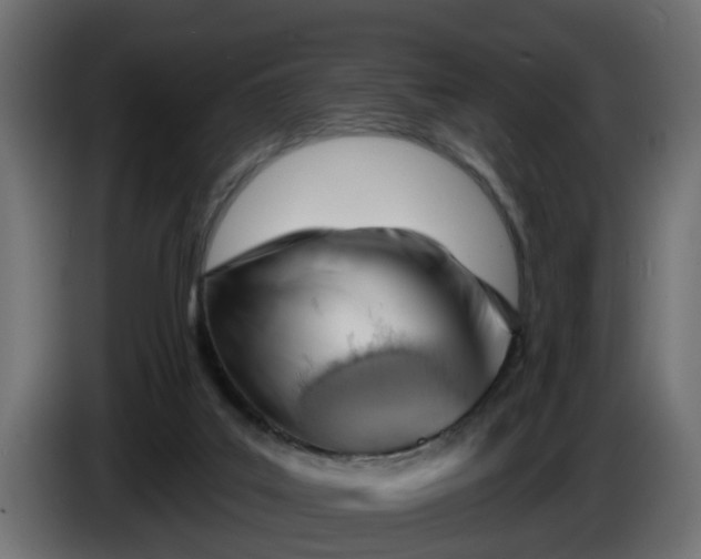 X0000086320019200704131705