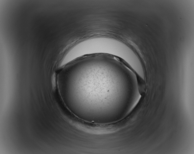 X0000086320020200704131705