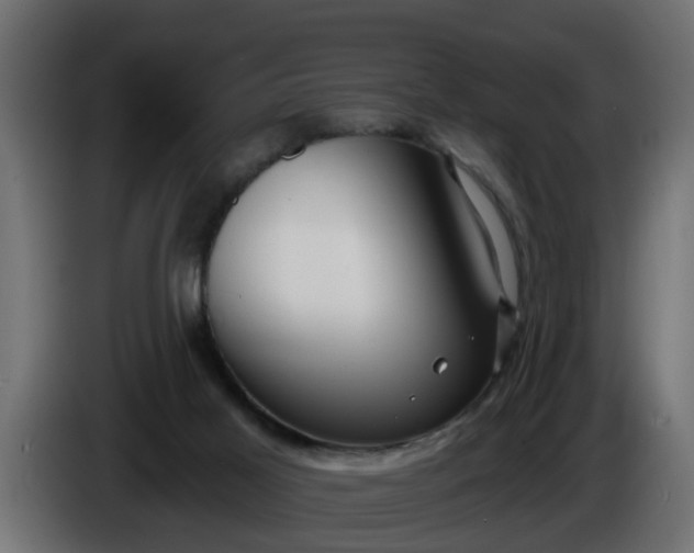 X0000086320021200704131705