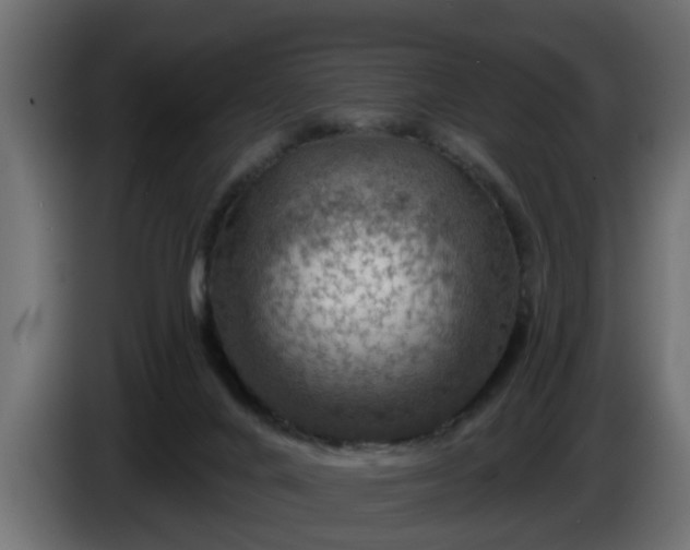 X0000086320024200704131704