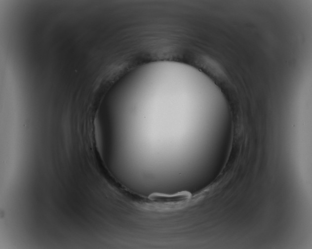 X0000086320025200704131704