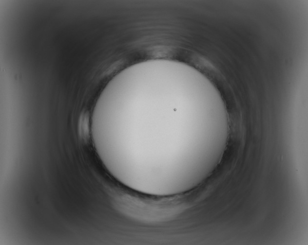 X0000086320028200704131704