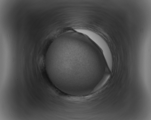 X0000086320029200704131704