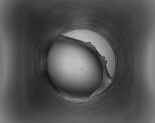 X0000086320030200704131704