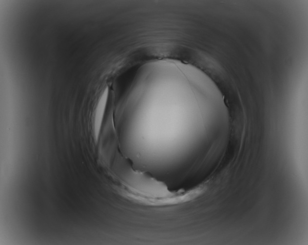 X0000086320031200704131704