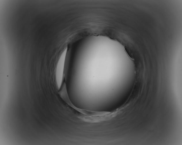 X0000086320033200704131704