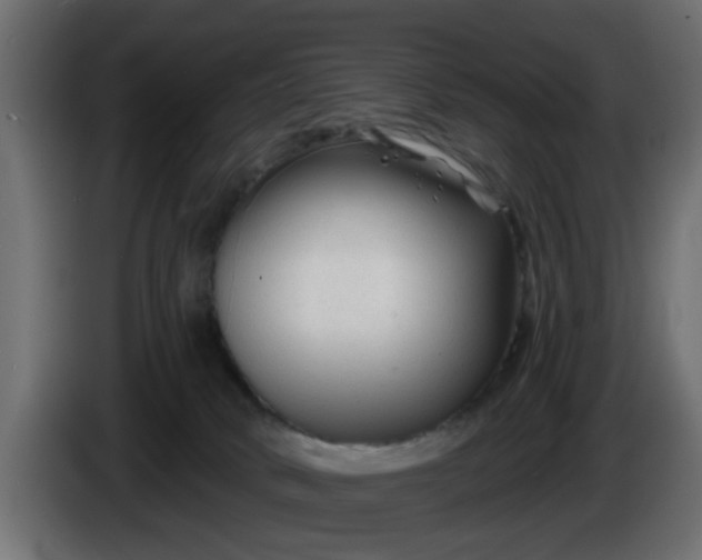 X0000086320034200704131704