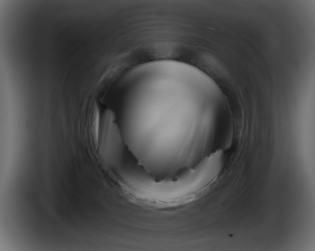 X0000086320035200704131704