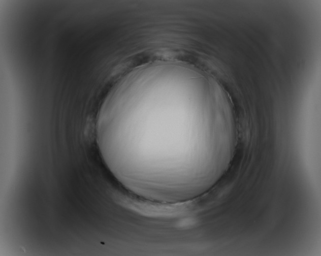 X0000086320036200704131704