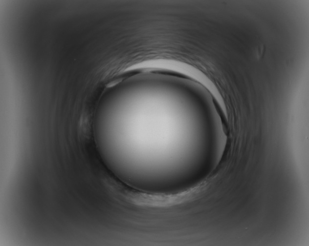 X0000086320037200704131704