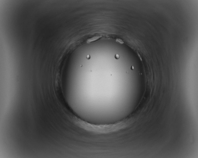 X0000086320038200704131704