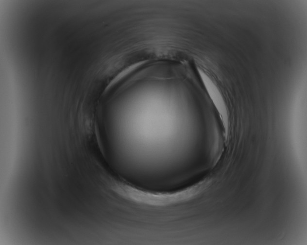 X0000086320039200704131704