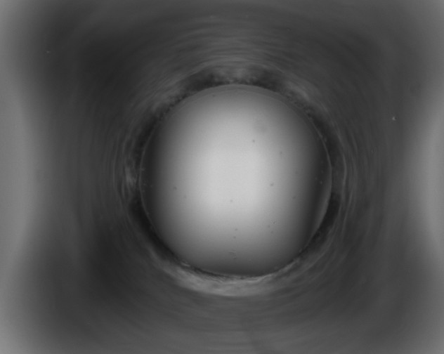 X0000086320040200704131704