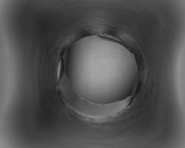 X0000086320041200704131704