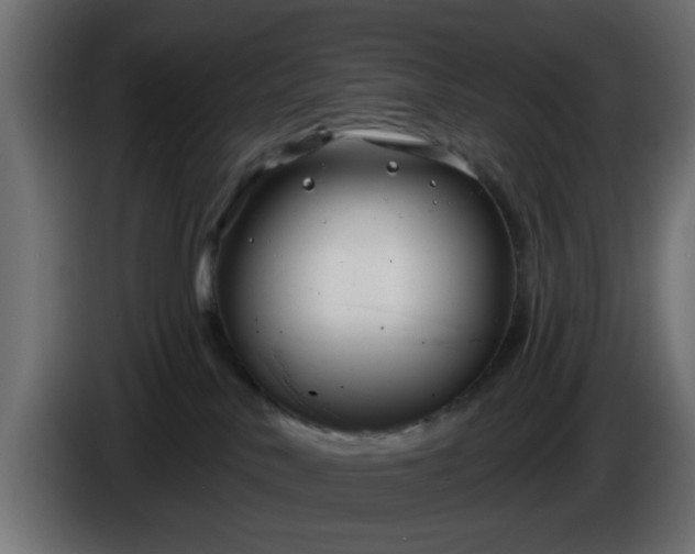 X0000086320042200704131704