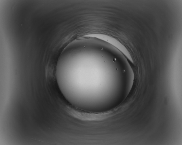 X0000086320044200704131704