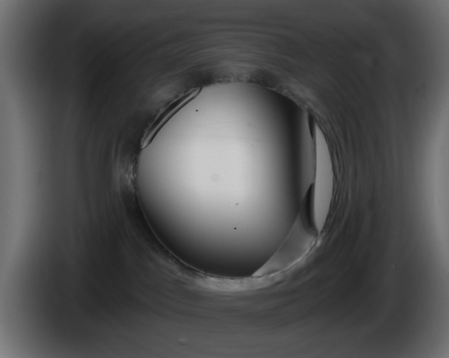 X0000086320045200704131704