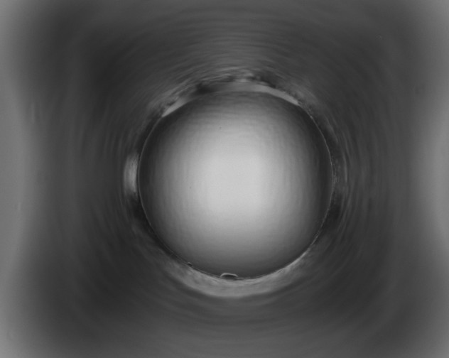 X0000086320047200704131704