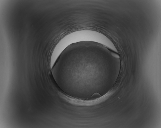 X0000086320048200704131704