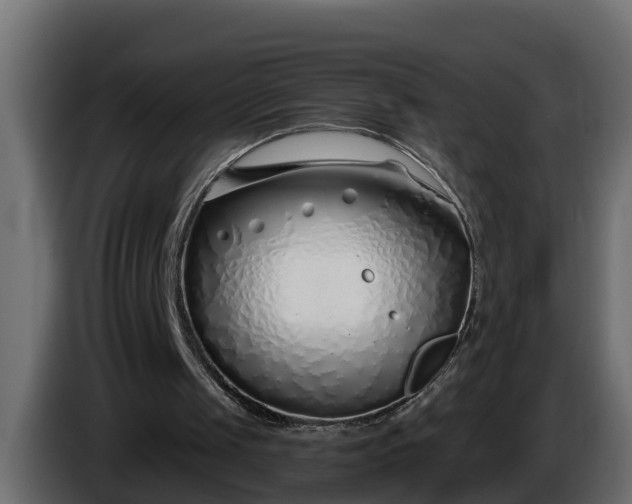 X0000086320049200704131703