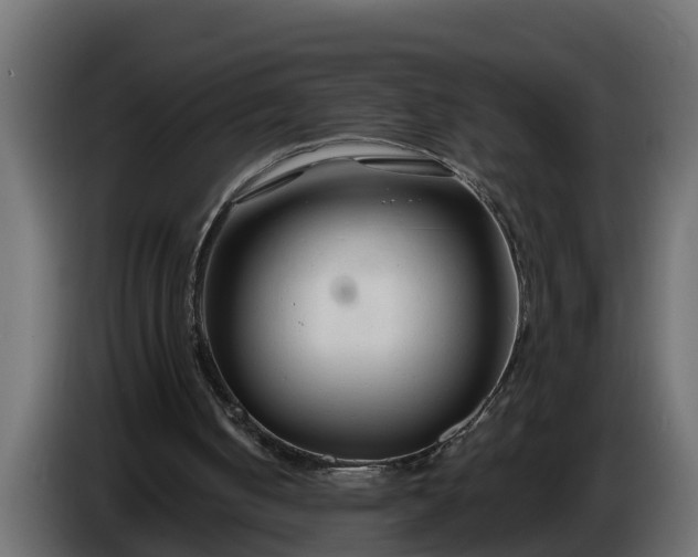 X0000086320050200704131703