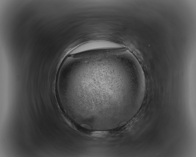 X0000086320051200704131703