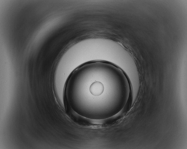 X0000086320052200704131703