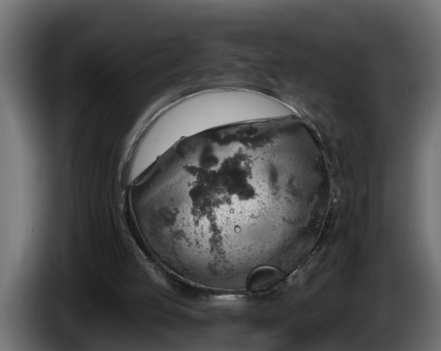 X0000086320053200704131703