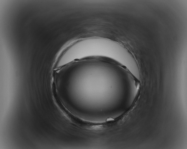 X0000086320054200704131703