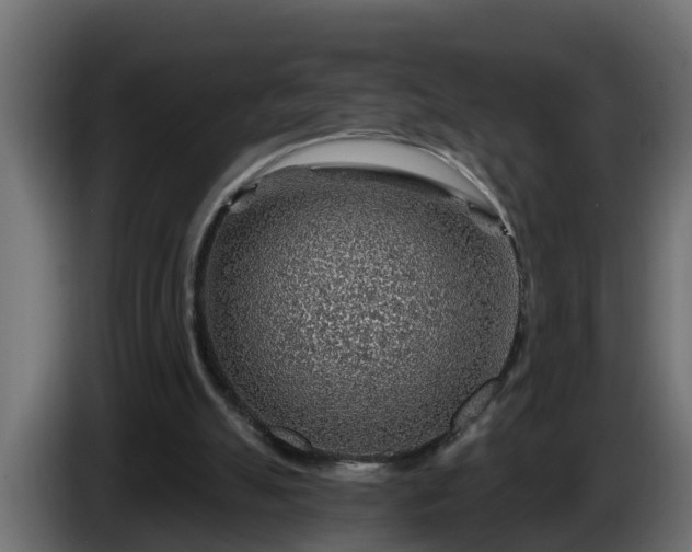 X0000086320055200704131703