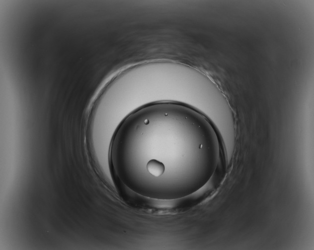 X0000086320056200704131703