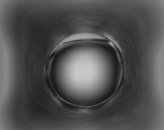 X0000086320057200704131703