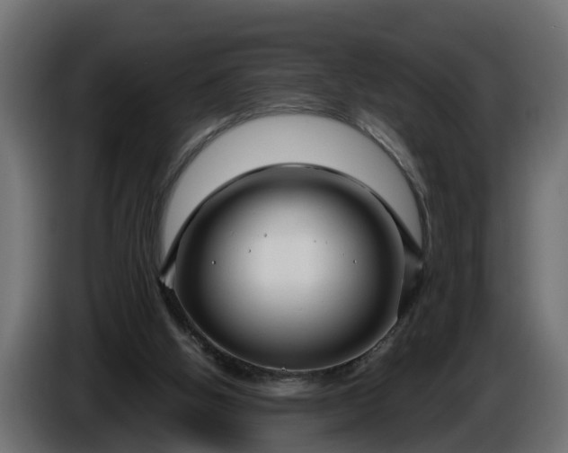 X0000086320058200704131703