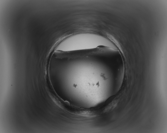 X0000086320059200704131703