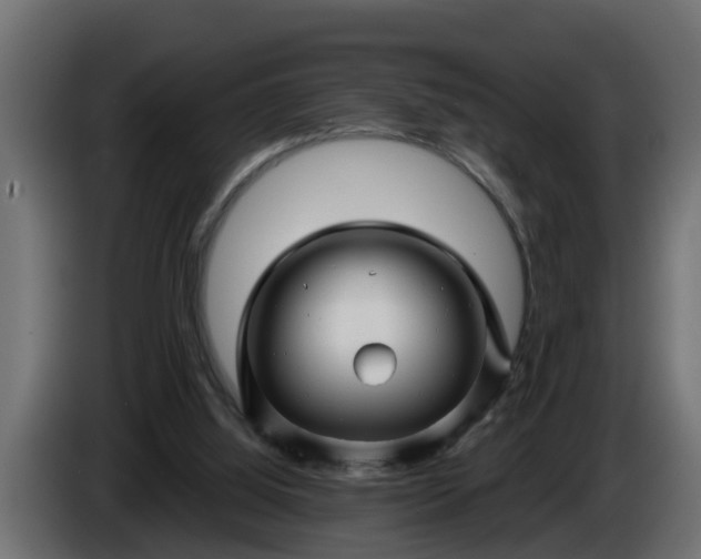 X0000086320060200704131703