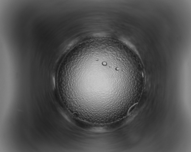 X0000086320061200704131703