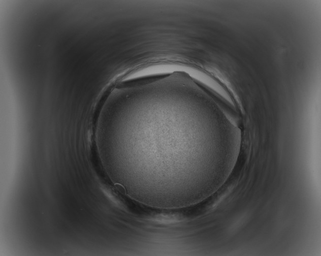 X0000086320063200704131703