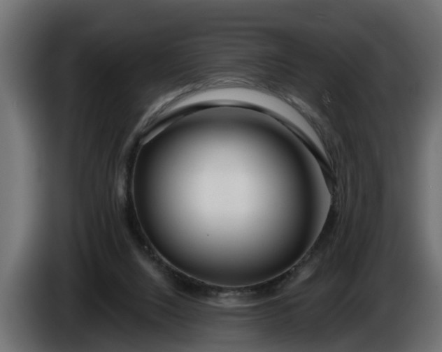 X0000086320064200704131703