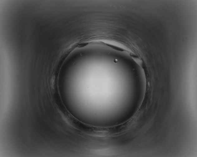 X0000086320066200704131704