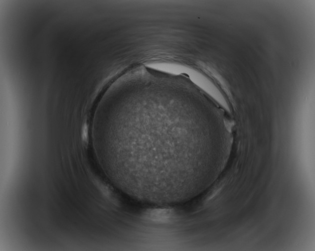 X0000086320067200704131704