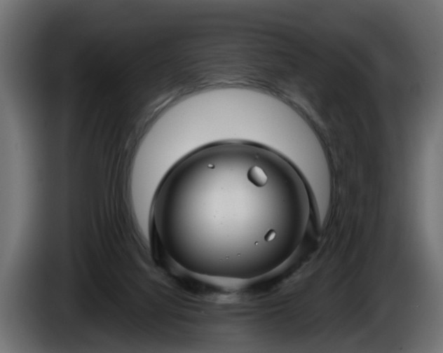 X0000086320068200704131704