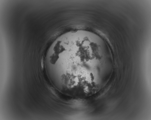 X0000086320069200704131704