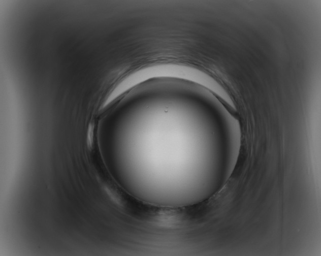 X0000086320070200704131704