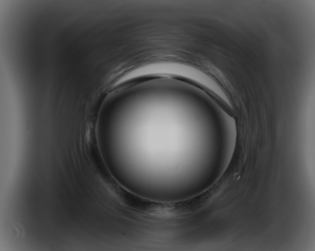 X0000086320071200704131704