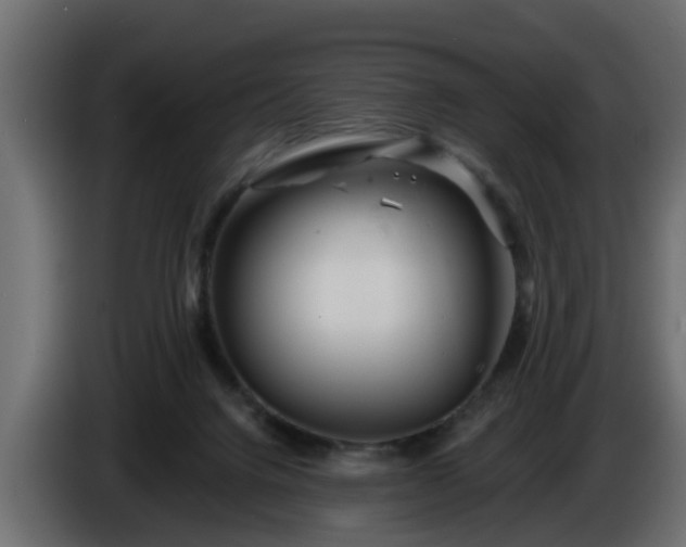 X0000086320072200704131704